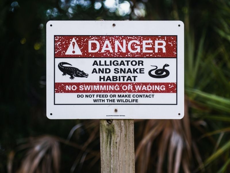 there is always danger involved when entering wild animal territories. 