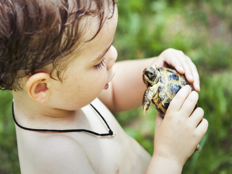 boy holding tortoise