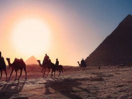 Best honeymoon destinations in Egypt